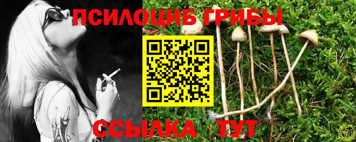 Кинель  Псилоцибиновые грибы GOLDEN TEACHER  что такое наркотик  Галлюциногенные грибы Magic Shrooms  Вход с VPN 